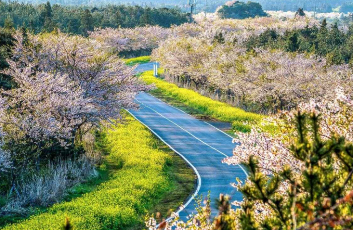 韓國 旅遊 季節