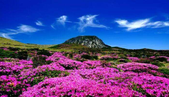 韓國 濟州 島 旅遊 韓國 濟州 島 旅遊