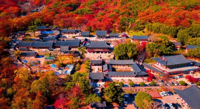 韓國釜山景點一日遊