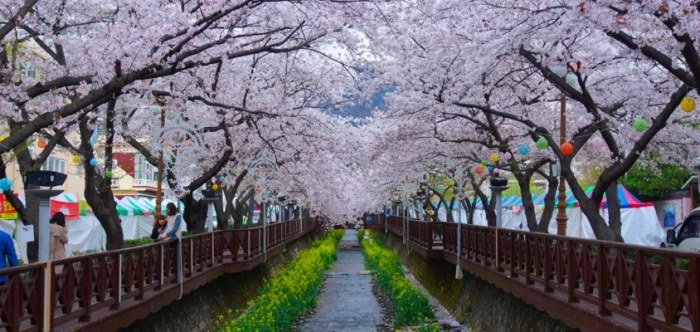 韓國3月旅遊