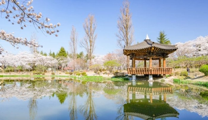 慶州一日遊