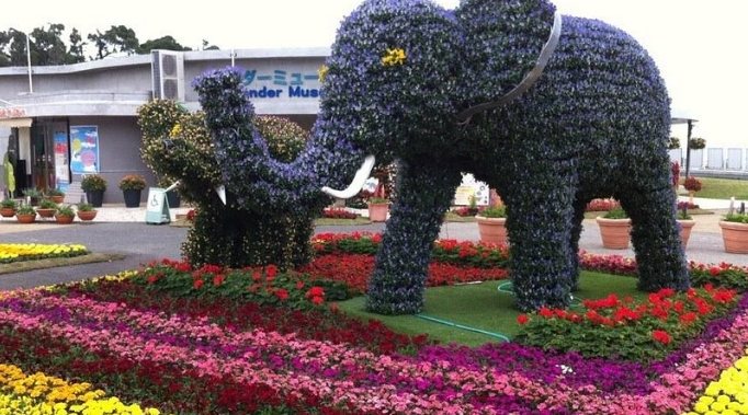 韓國愛寶樂園行程 韓國愛寶樂園行程