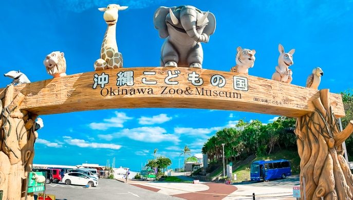 韓國愛寶樂園行程 韓國愛寶樂園行程