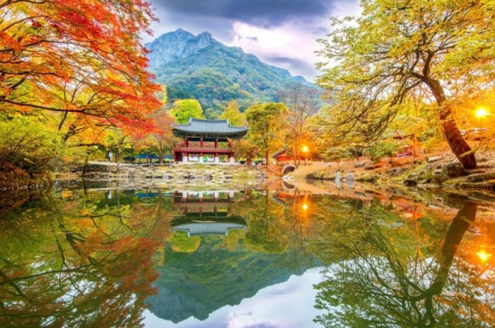 韓國旅遊注意事項