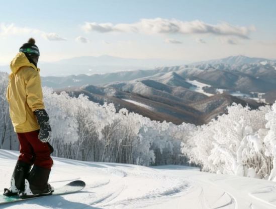 韓國滑雪地點