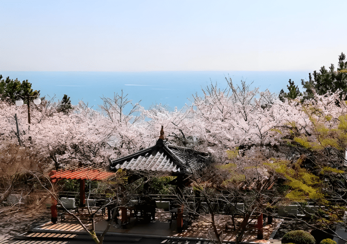 韓國釜山旅遊景點