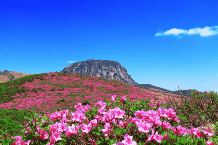 韓國濟州島旅遊