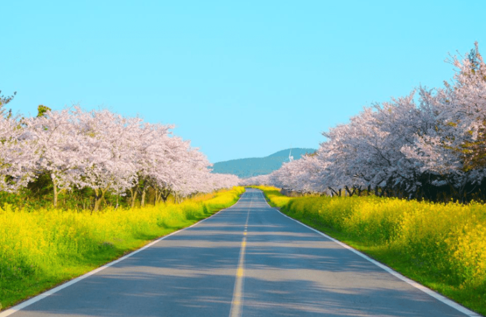 濟州島住宿