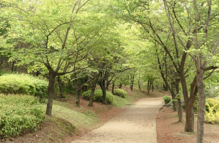 首爾景點地圖