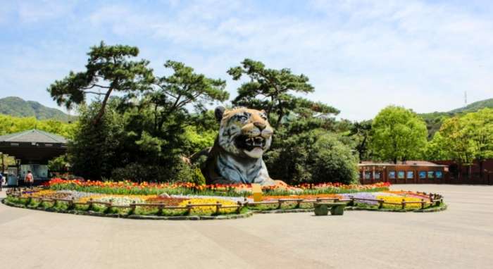 首爾景點常見問題